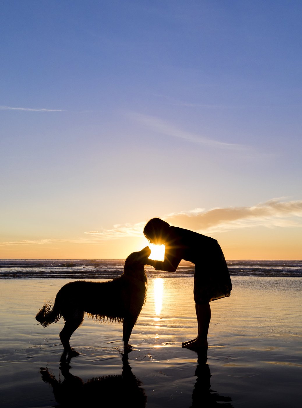 Silhouette of a woman kissing her dog at sunset on the beach